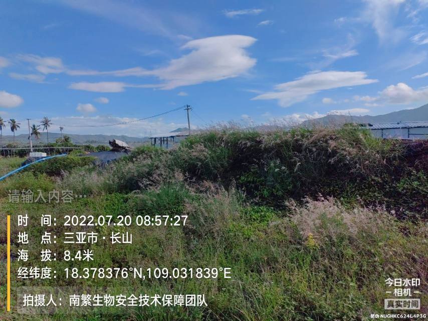 请输入内容…