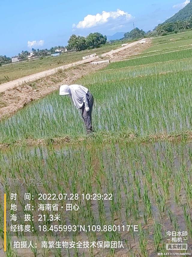 请输入内容…