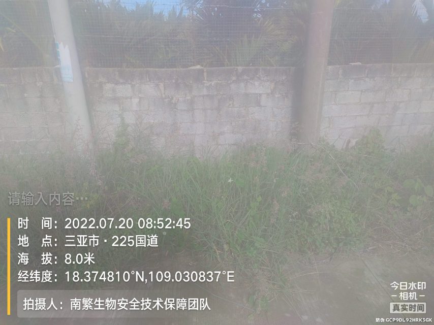 请输入内容…