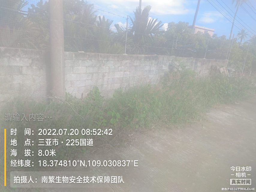 请输入内容…