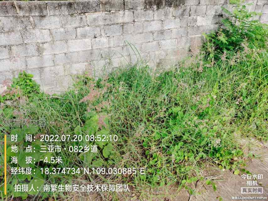 请输入内容…