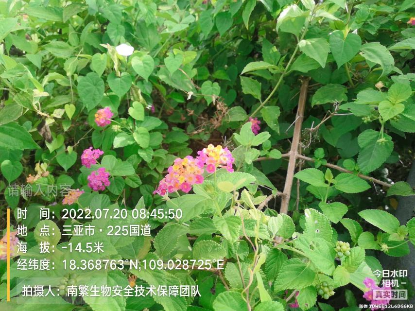 请输入内容…