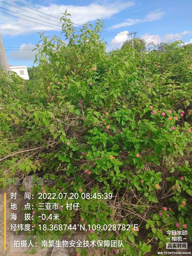 请输入内容…
