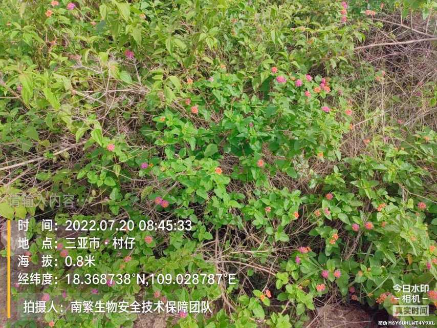 请输入内容…