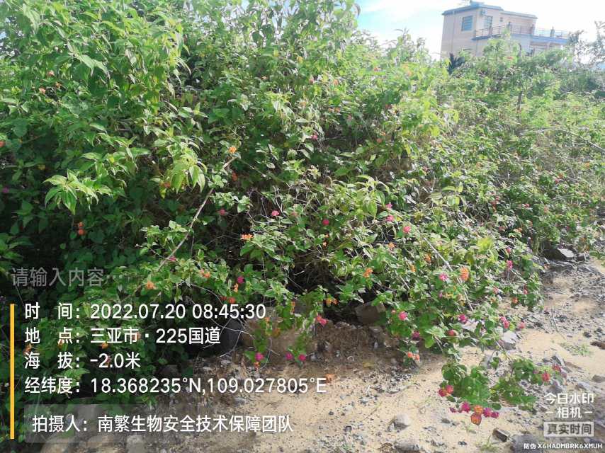请输入内容…