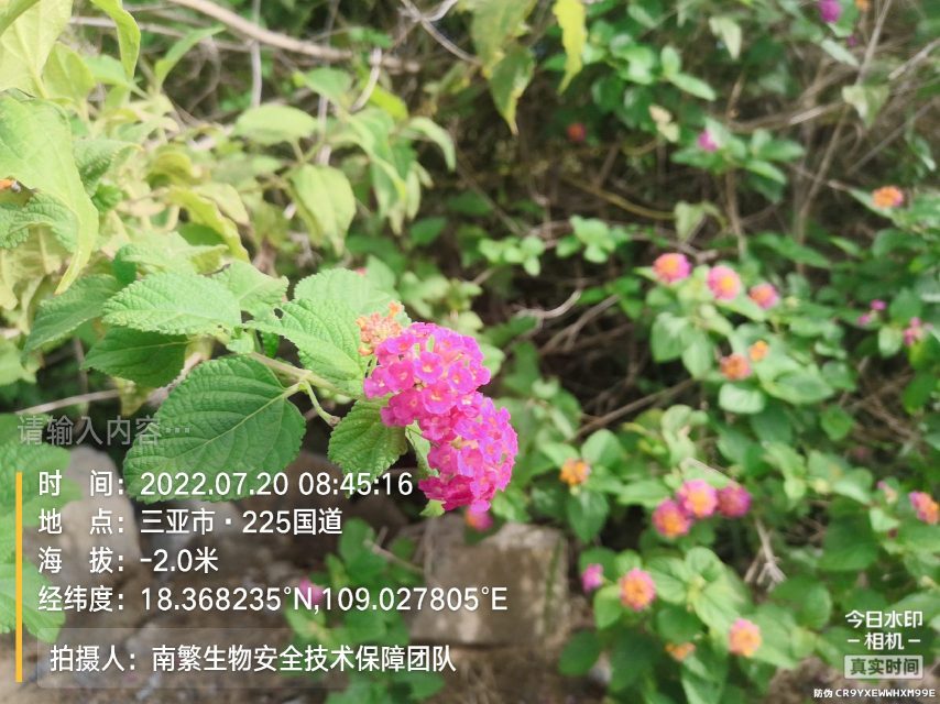 请输入内容…
