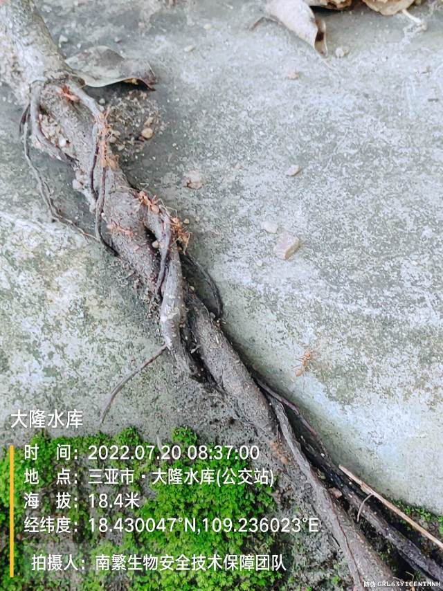大隆水库