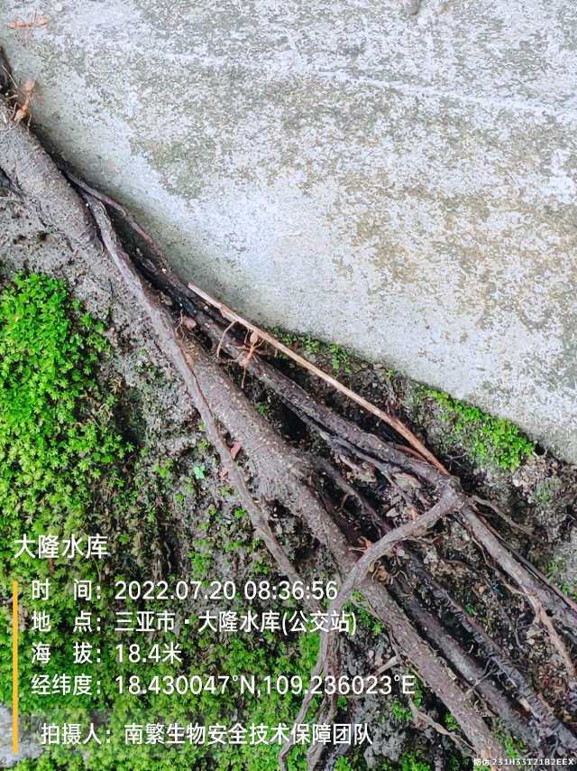 大隆水库