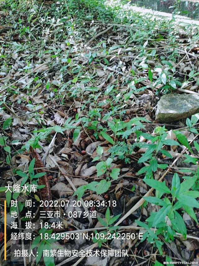 大隆水库