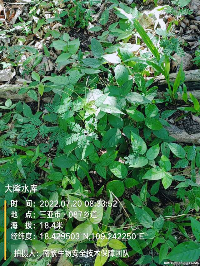 大隆水库