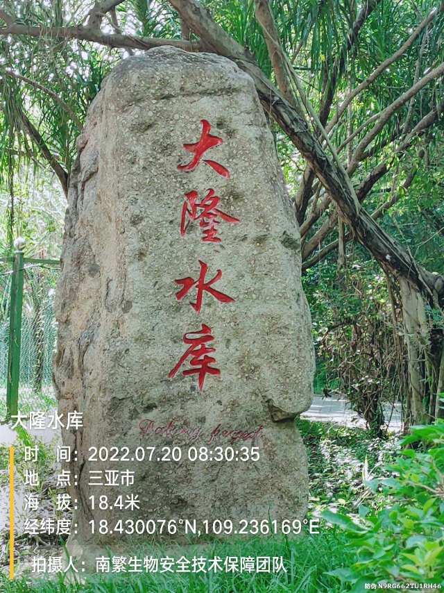 大隆水库