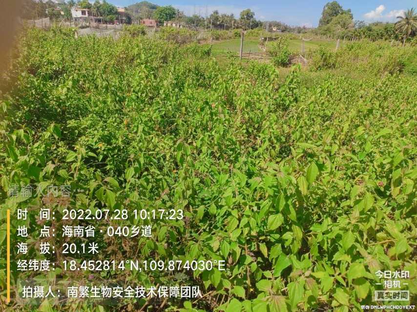 请输入内容…