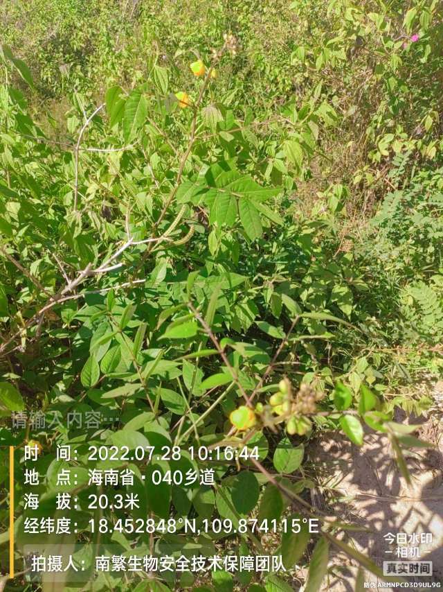 请输入内容…