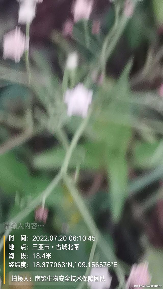 请输入内容…