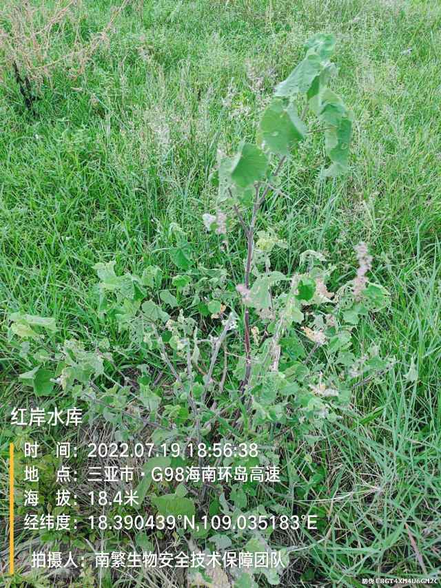 红岸水库