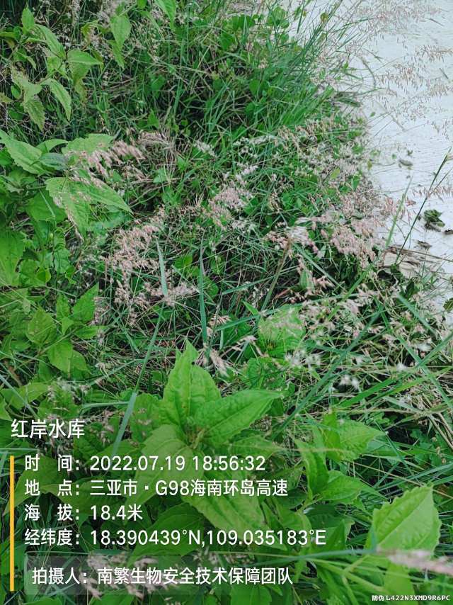 红岸水库
