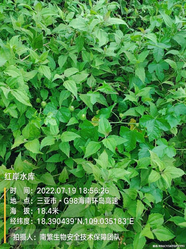 红岸水库