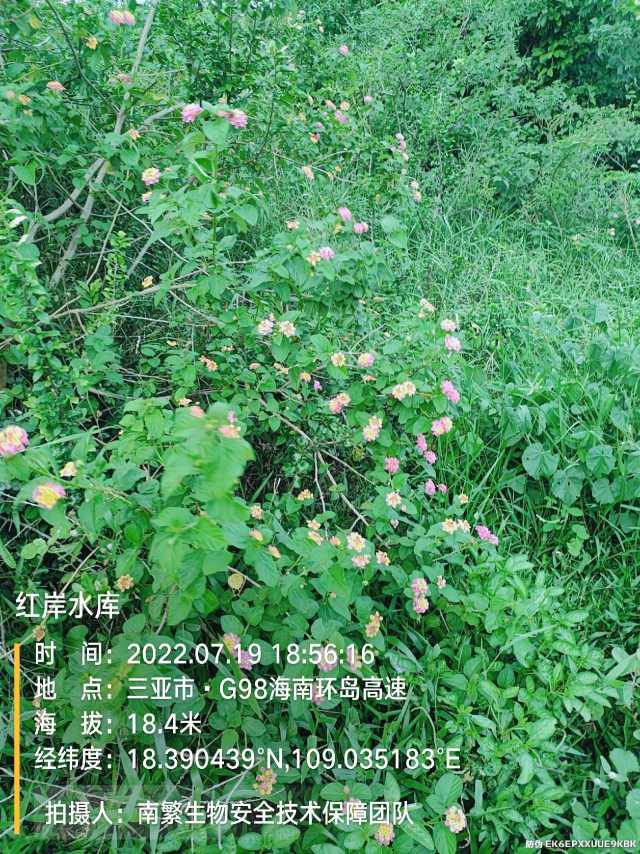 红岸水库