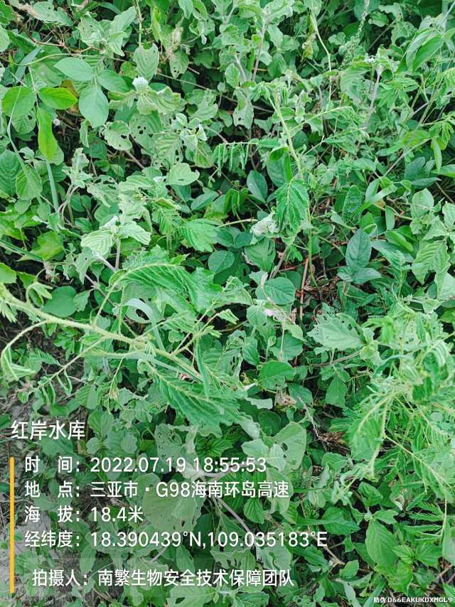 红岸水库