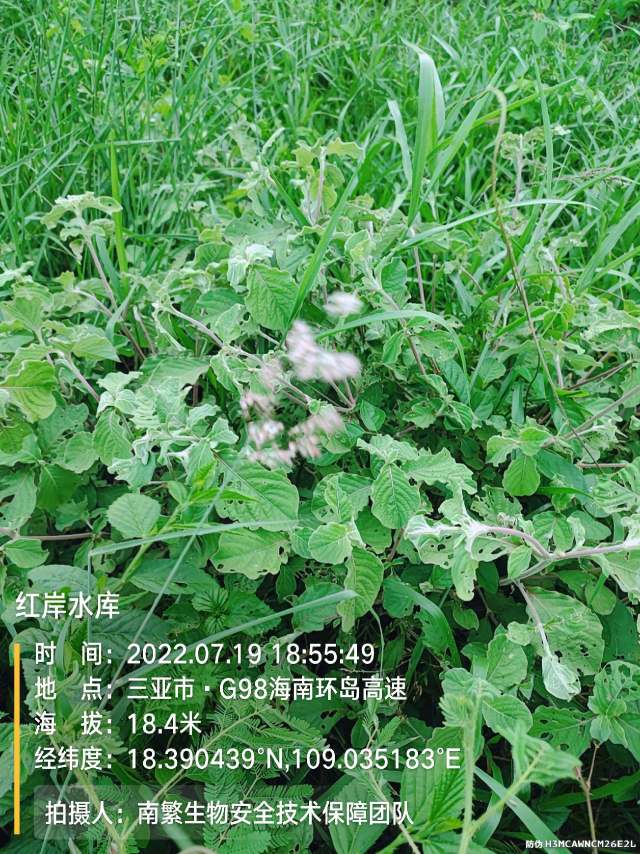 红岸水库