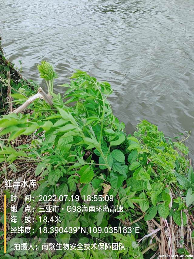 红岸水库
