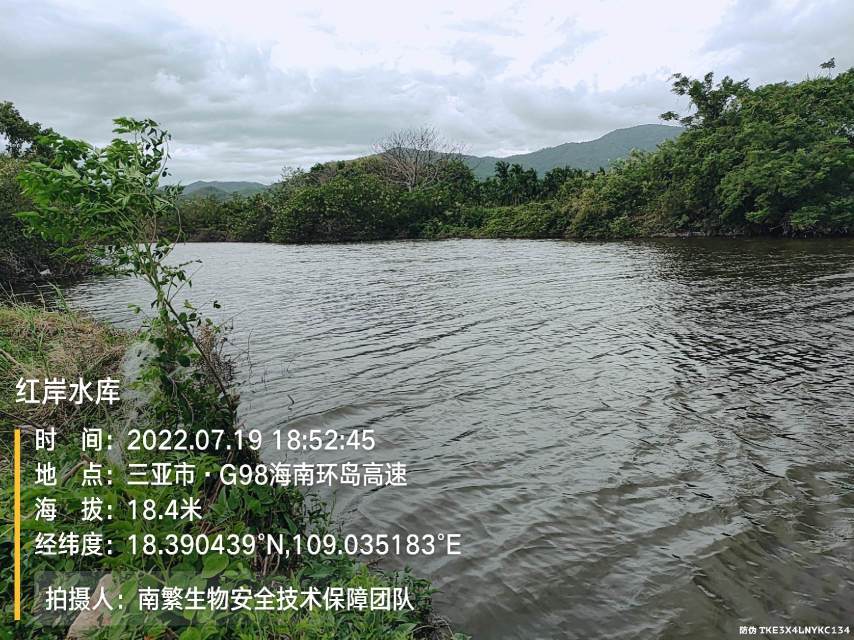 红岸水库