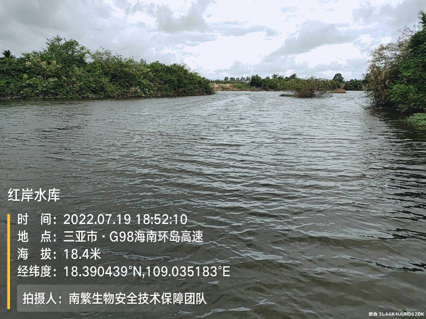 红岸水库