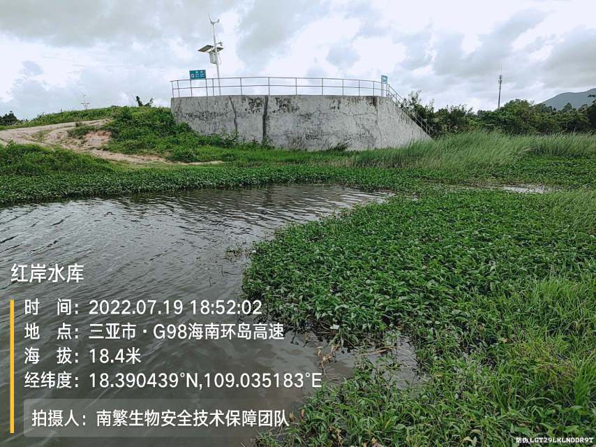 红岸水库