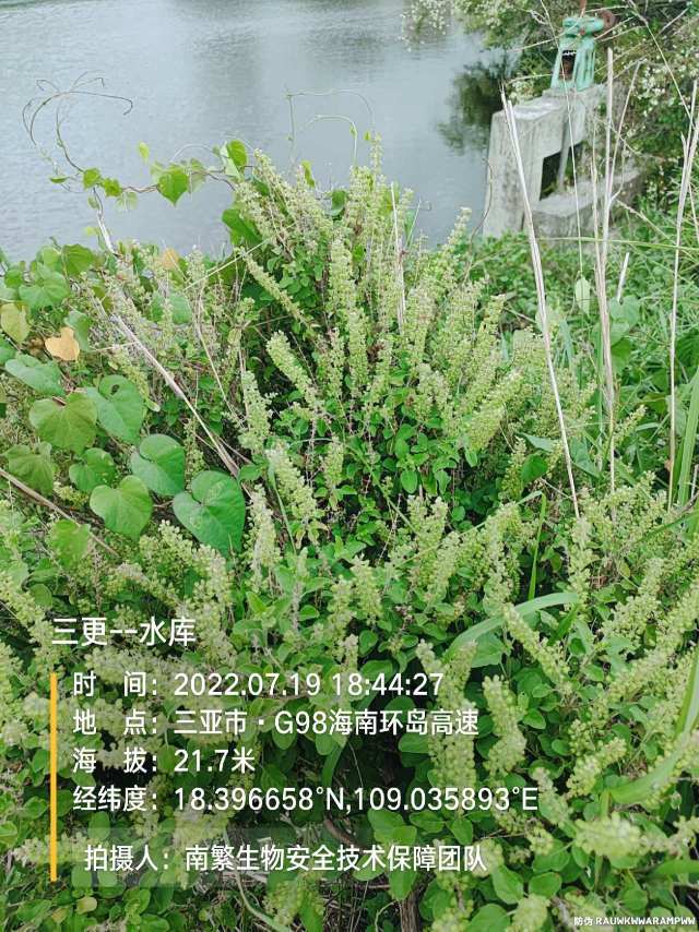 三更--水库