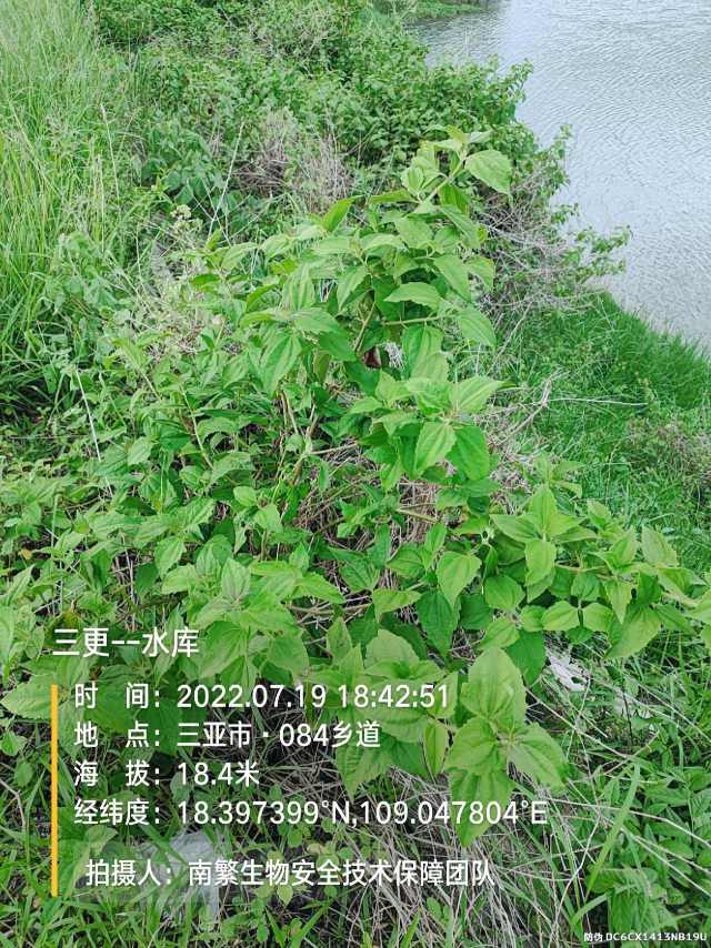 三更--水库