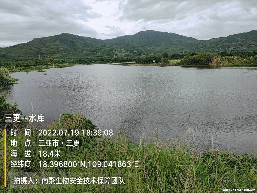 三更--水库