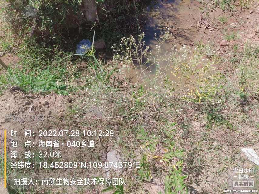 请输入内容…
