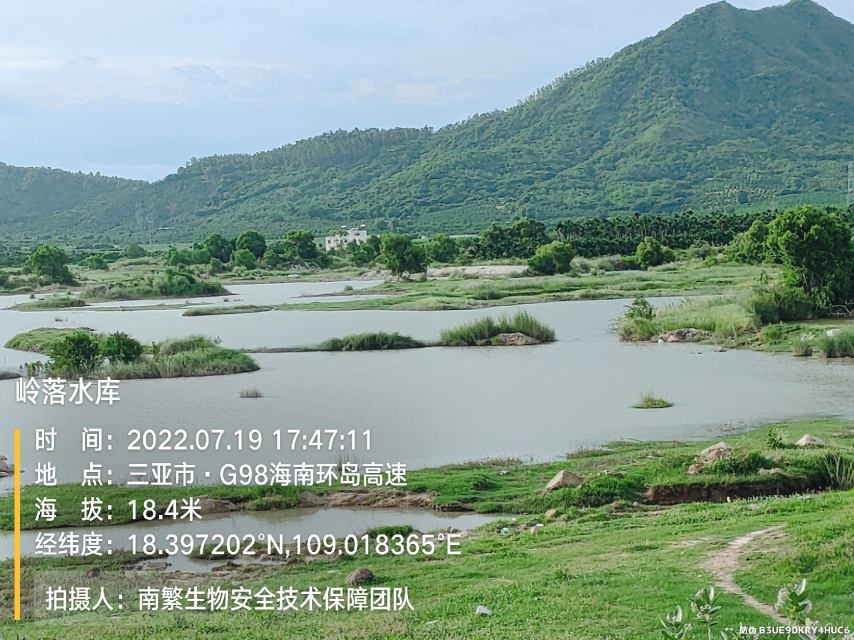 岭落水库