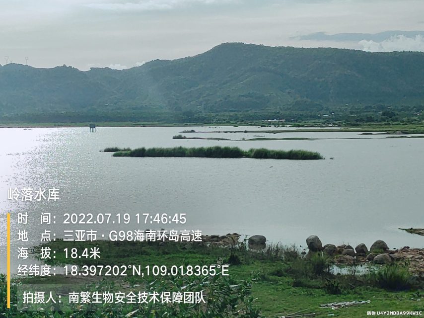 岭落水库