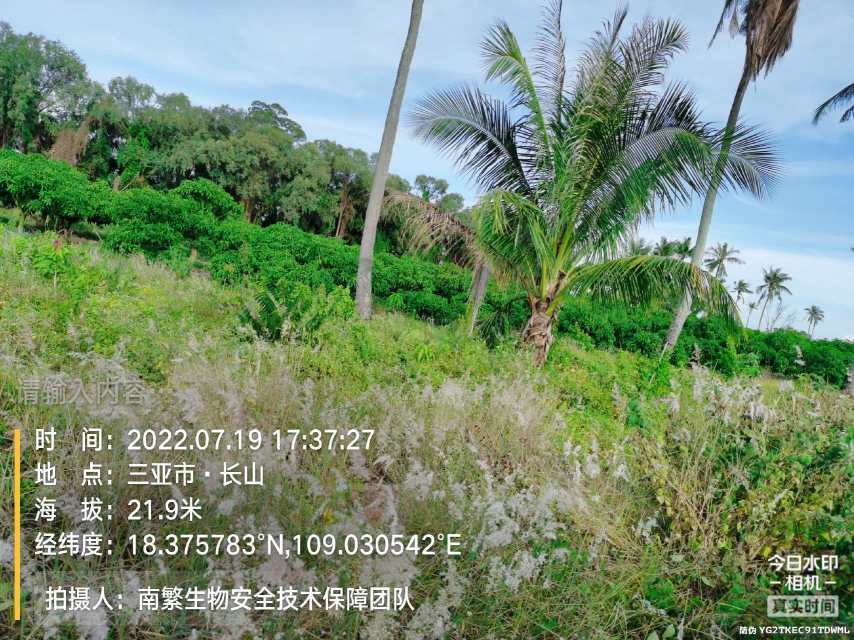 请输入内容…