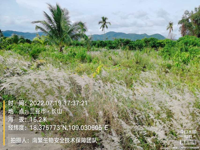 请输入内容…