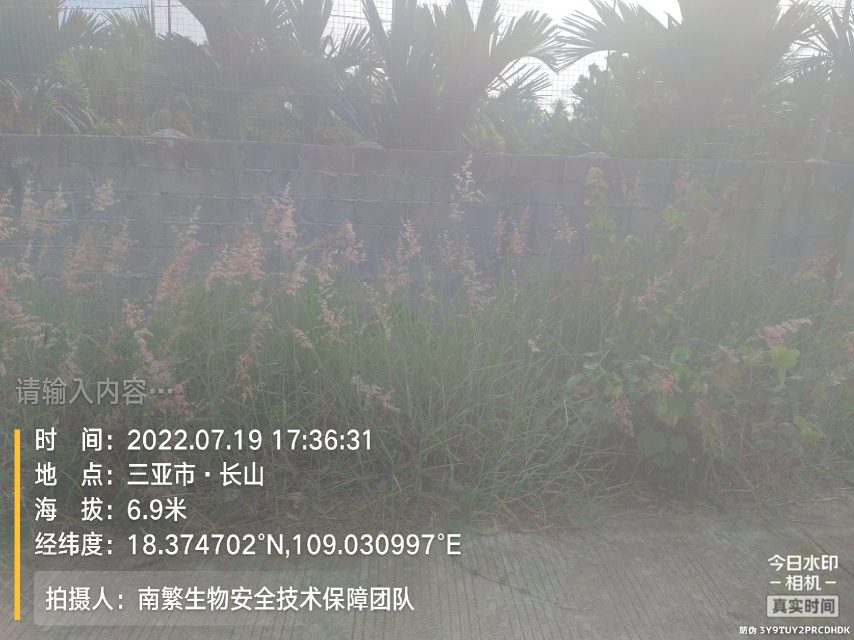 请输入内容…