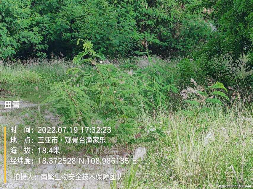 田菁