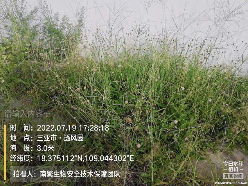 请输入内容…