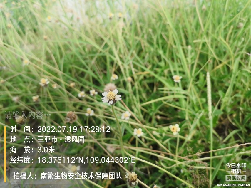 请输入内容…