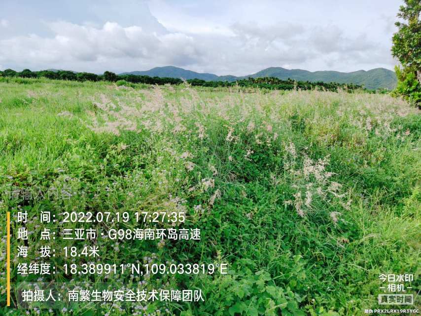 请输入内容…