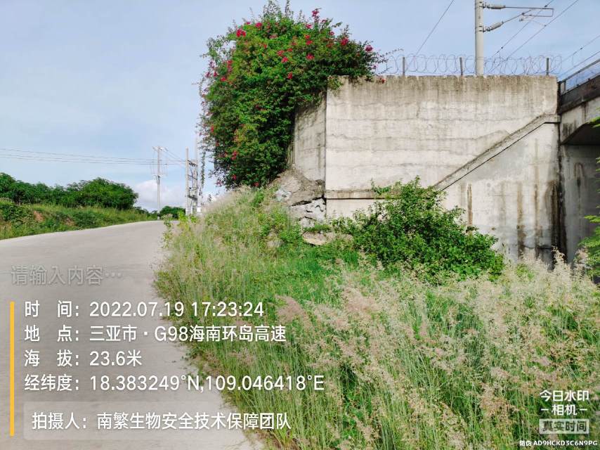 请输入内容…