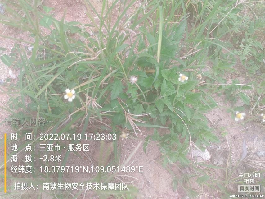 请输入内容…