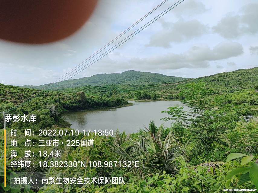 茅彭水库