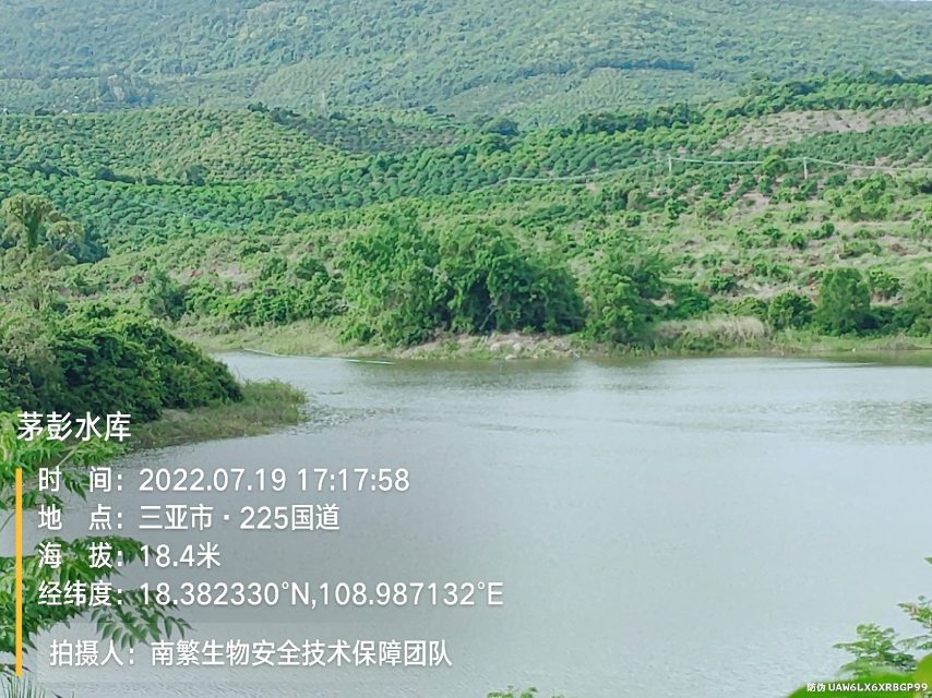 茅彭水库