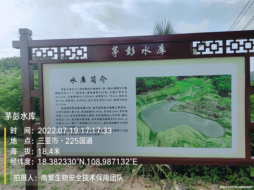 茅彭水库