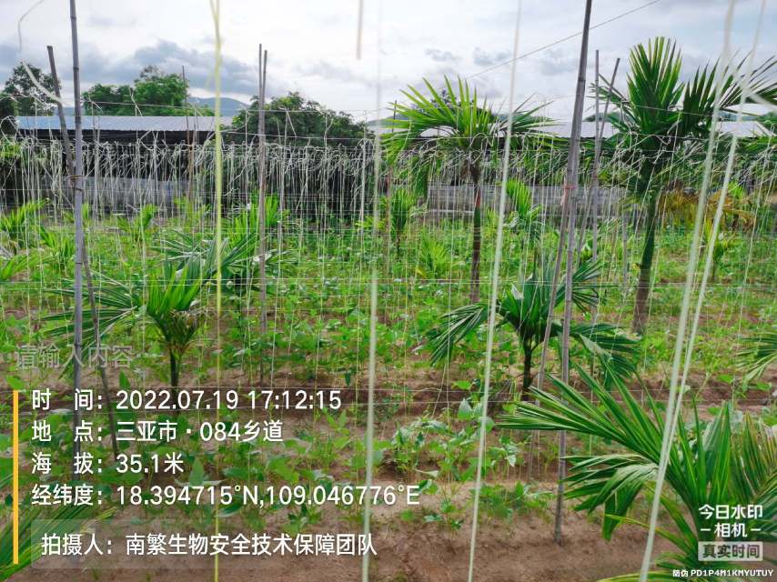 请输入内容…