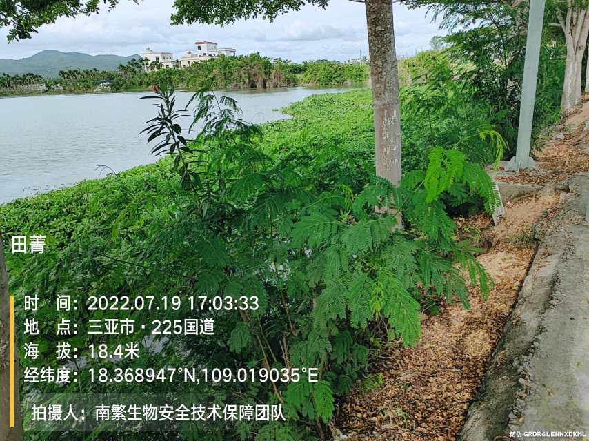 田菁