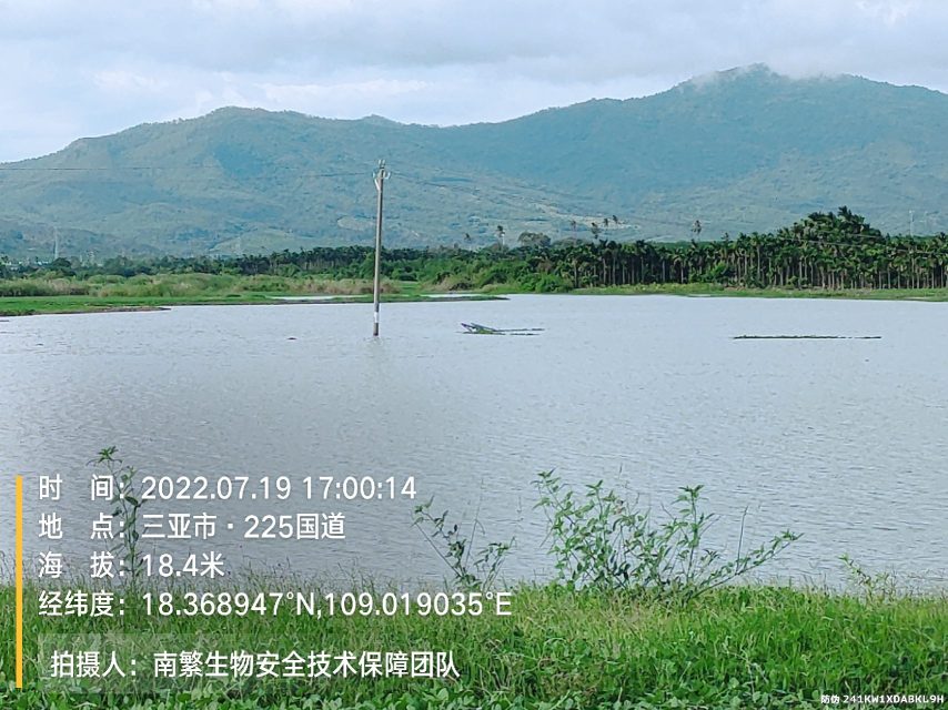 请输入内容…