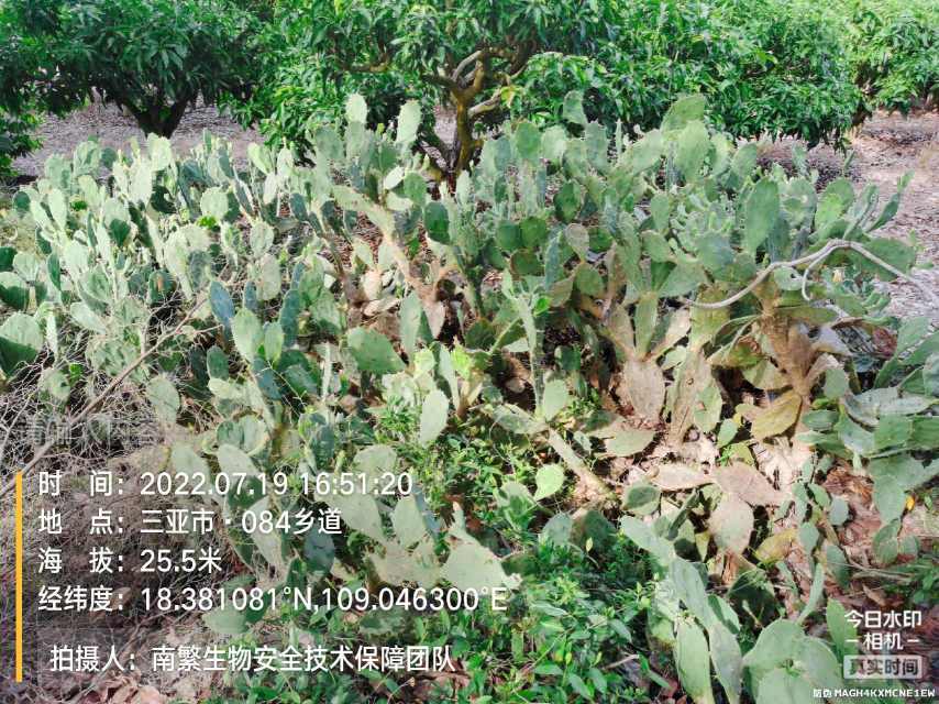 请输入内容…